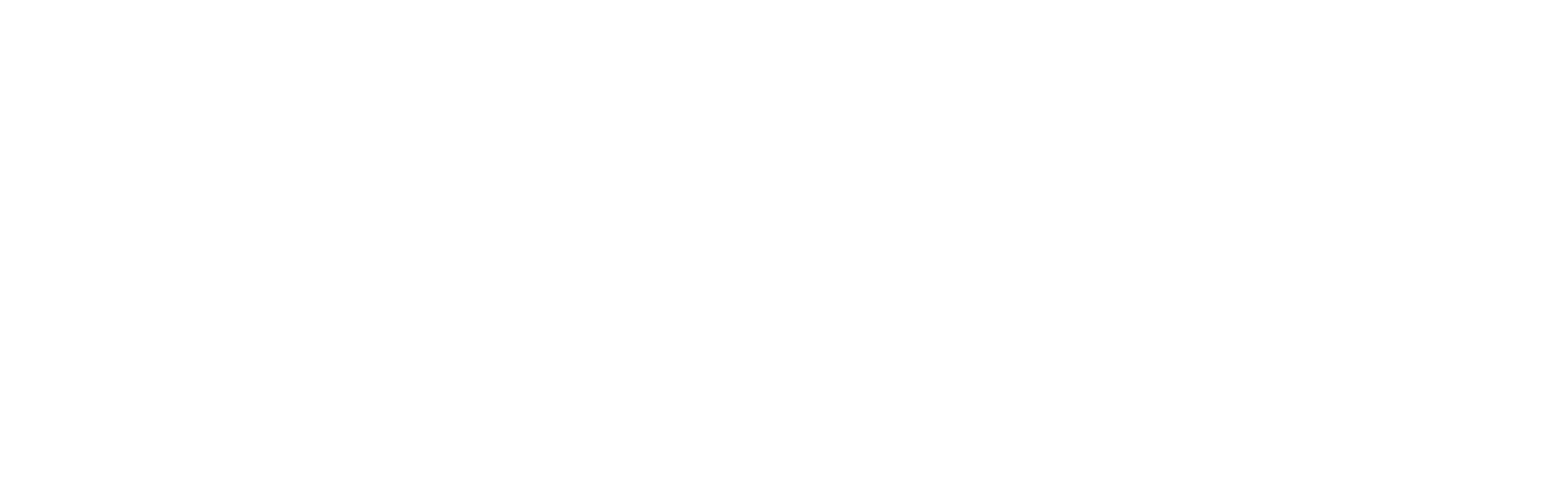Texas Business Professionals of America Area 1 Region 3